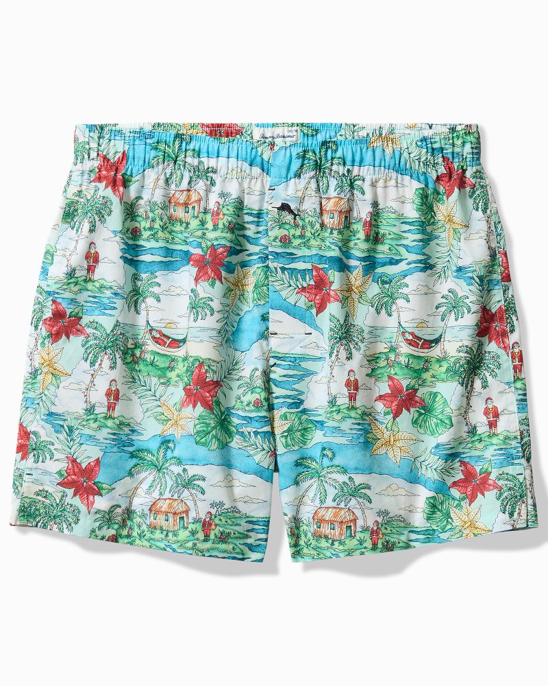 Tommy Bahama | Big & Tall Woven Tropical Print Boxers / Big Sky Blue