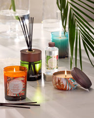 Tommy Bahama | Maui Mango 7.5-oz. Boxed Poured Candle / Maui Mango